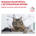 Роял канин для кошек GASTROINTESTINAL MODERATE CALORIE FELINE (в ассортименте)
