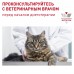 Роял канин сухой корм для кошек  VCN NEUTERED SATIETY BALANCE (ВКН НЬЮТРИД САТАЕТИ БЭЛЭНС) (в ассортименте)