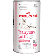 Роял канин заменитель молока для котят Бебикэт милк (BABYCAT MILK ) 0,3кг